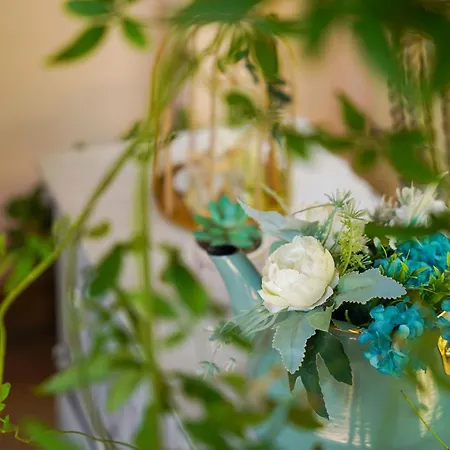 Prázdninový dům Arilia Country